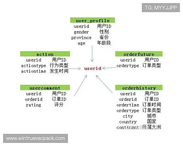B体育集团官网提供的专业体育数据分析与赛事预测服务介绍